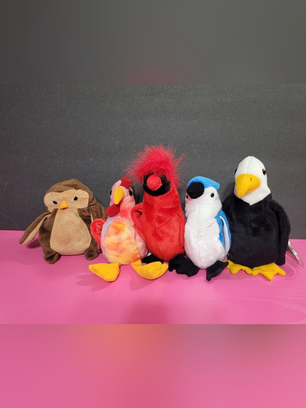 Ty Beanie Babies Birds Set Of 5 (1718)